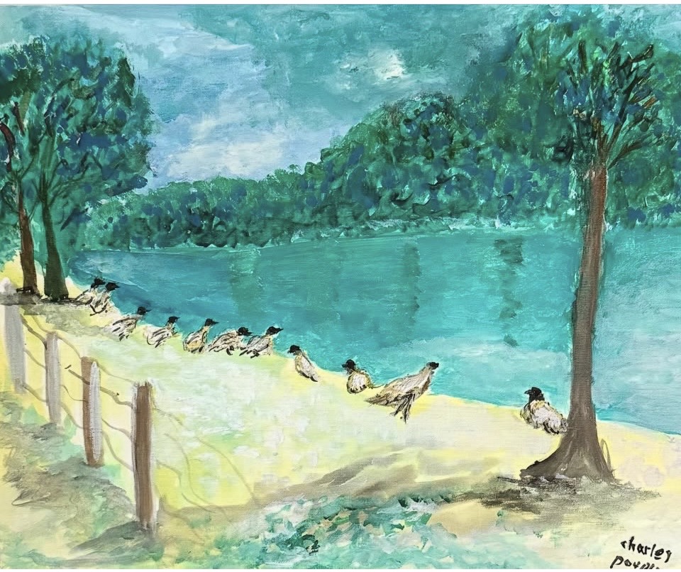 Ronde paisible au Lac des Minimes